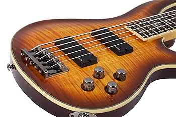 Amazon | Schecter シェクター Omen Extreme-5 エレキギター